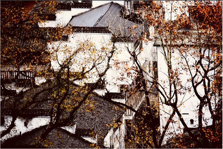 1546927940270454.jpg 00.jpg